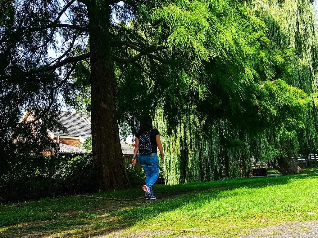thuis sporten